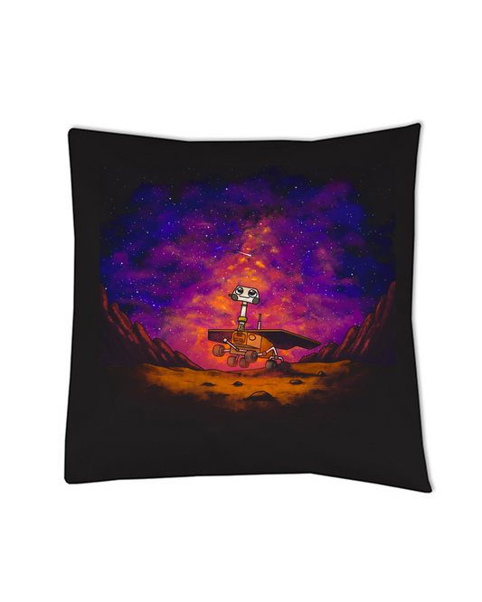 Potah na polštář OPPORTUNITY